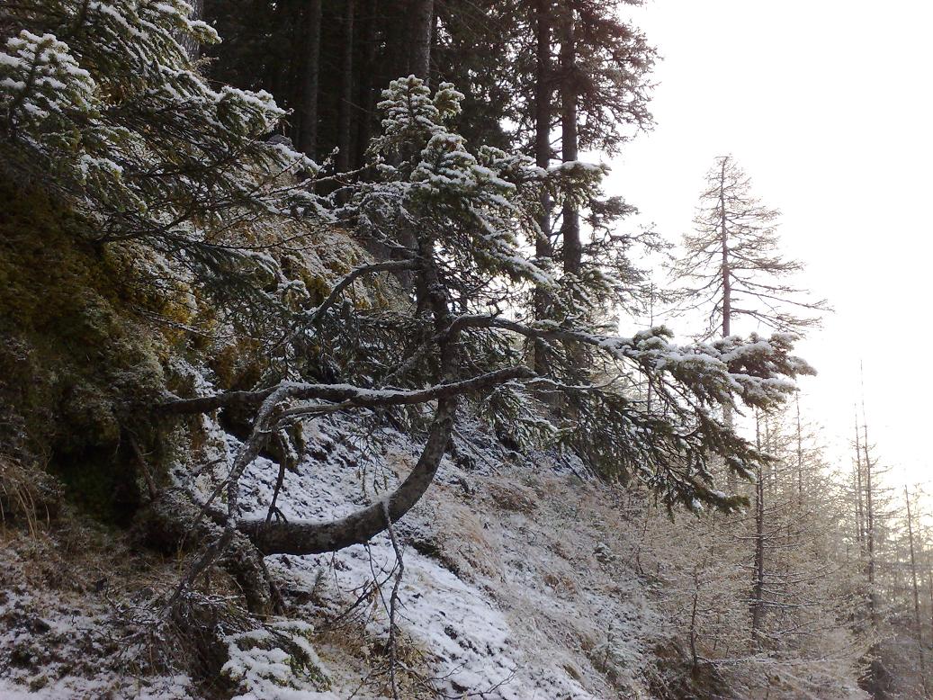 Cesta Sterzing-Weisspitze