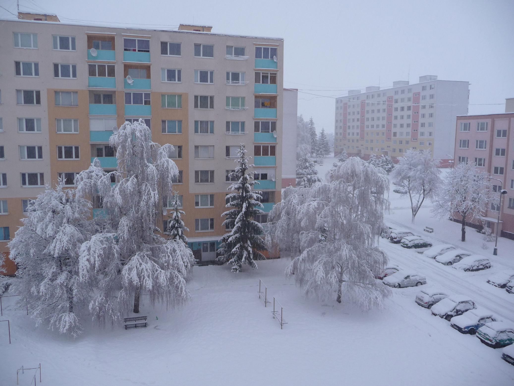 P1070877